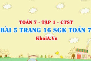 Bài 5 trang 16 SGK Toán 7 tập 1 Chân trời sáng tạo